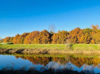 Trail Walking Mechelen - Groene Natuurpuntwandeling Barebeekvallei - Mechelen (Muizen) - Photo