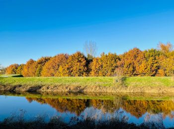 Tour Wandern Mechelen - Groene Natuurpuntwandeling Barebeekvallei - Mechelen (Muizen) - Photo