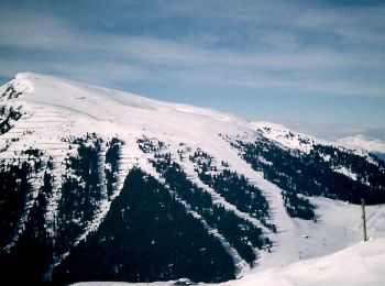 Randonnée A pied Deutschnofen - Nova Ponente - Dolomiti 9 - Photo