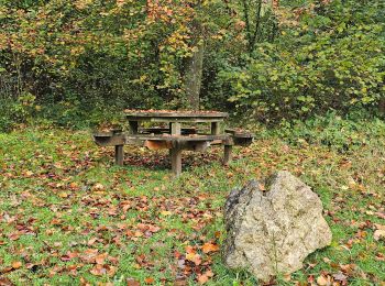 Randonnée Marche Hastière - Balade à Waulsort - Photo