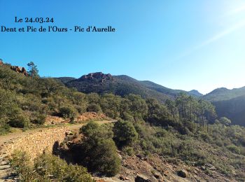 Tour Wandern Saint-Raphaël - Dent et Pic de l'Ours - Pic d'Aurelle depuis le Col Belle Barbe - Photo