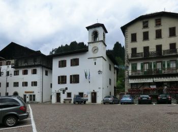 Trail On foot Forni di Sopra - IT-208 - Photo