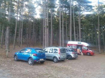 Tour Wandern Albertacce - lac nino - Photo