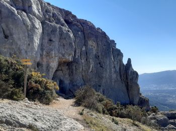 Excursión Senderismo Allauch - la treille le gros hibou par tête rouge - Photo