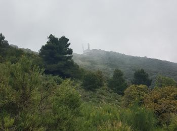 Randonnée Marche Peille - Mont Agel Sytitrail + - Photo