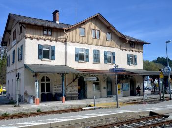 Excursión A pie Blaustein - Nebenweg des Schwäbischen Albvereins (rote Gabel) - Photo