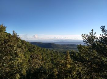 Randonnée Marche Aups - Tour de la montagne des Espiguières - Photo