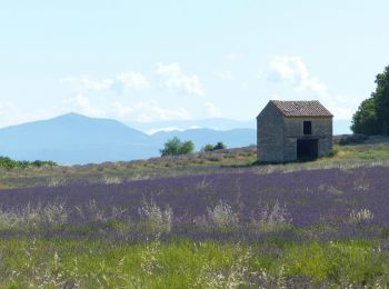 Randonnée Marche Chantemerle-lès-Grignan - Chantemerle Les crevasses 8km - Photo