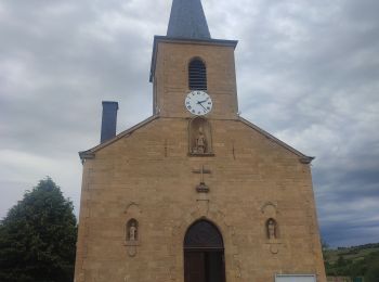 Randonnée Marche Rouvroy - Torgny - Lamorteau - Photo