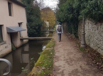 Tocht Stappen Les Essarts-le-Roi - Yvette 3 - Photo