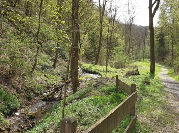 Randonnée Marche Leienkaul - cascade - Photo