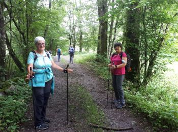 Tour Nordic Walking Saint-Paul-de-Varces - Circuit Saint Paul De  Varces - Photo