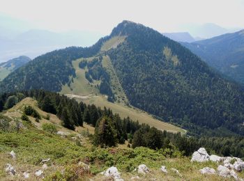 Randonnée A pied Plateau-des-Petites-Roches - Tour de Pravouta - Photo