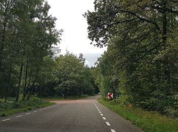 Trail On foot Vaals - Vaals SBB33 - Photo