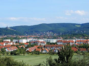 Tour Zu Fuß Wernigerode - Nordroute - Photo