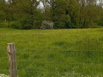 Trail Walking Nandrin - Villers La Rochette Fonds d Oxhe - Photo