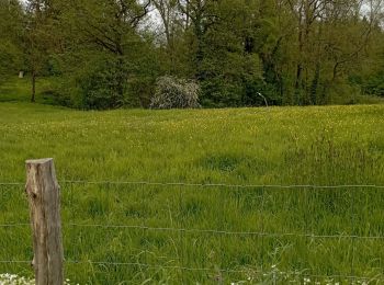 Randonnée Marche Nandrin - Villers La Rochette Fonds d Oxhe - Photo