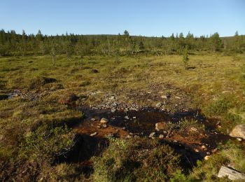 Trail On foot Inari - Poro, luontopolku - Photo