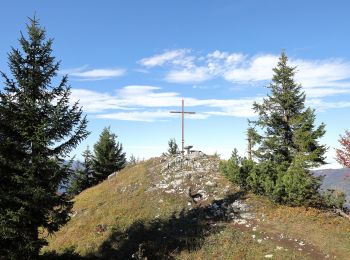 Randonnée A pied Gemeinde Türnitz - Wanderweg 35 - Photo