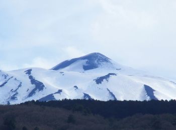 Percorso A piedi Adrano - Passo Zingaro - Sentiero 708 - Photo