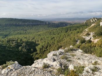 Tocht Stappen Thézan-des-Corbières - Cirque Viviès plateau Poursan - Photo