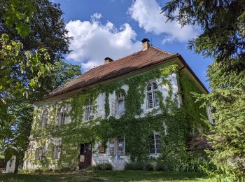 Tocht Te voet Běleč - NS Kolem hradu Šelmberk - Photo