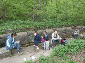 Percorso Marcia Balbronn - lavoir - Photo