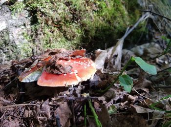 Excursión Senderismo Lavaldens - Le Lac de Rif Bruyant - Photo