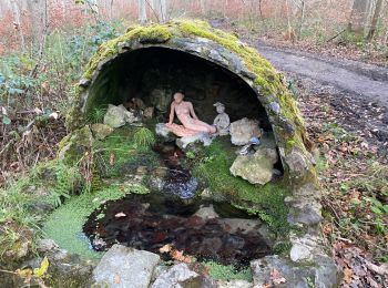 Trail Walking Ottignies-Louvain-la-Neuve - Bois de Lauzelle confi 31 - Photo