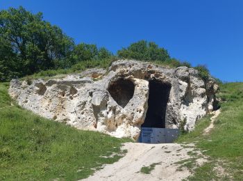 Randonnée Marche Riemst - tour de la montagne st pierre - Photo