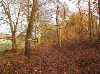 Trail On foot Saarwellingen - Mühlenbach-Schluchten-Tour - Photo