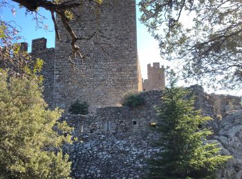 Trail Walking la Jonquera - 20230112 Site mégalithique- château Requesens  - Photo