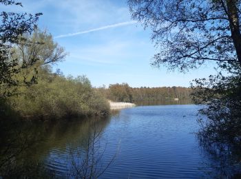 Tour Wandern Houthalen-Helchteren - petit tour dans la réserve naturelle du Hengelhoef  - Photo