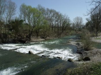 Tocht Te voet Borgo San Lorenzo - Sorgenti di Firenze Trekking – Anello Principale: Tappa 8 - Photo