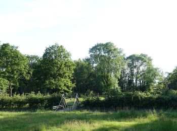 Tocht Te voet Zutendaal - Lieteberg - Papendaalheide Rode driehoek - Photo