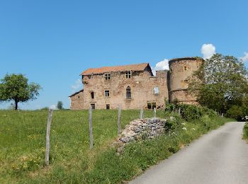 Tocht Stappen Jarnosse - 14327680-Jarnosse matin 12km - Photo