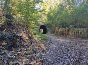 Randonnée Marche Palaiseau - Lozère - Photo