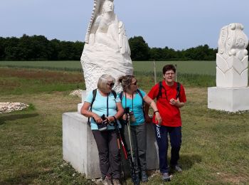 Tocht Stappen Port-d'Envaux - crazannes - Photo