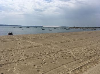 Trail Walking Arcachon - Cap Ferret  - Photo