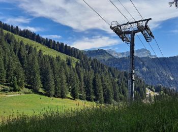 Randonnée Marche Arâches-la-Frasse - Lac d'Airon - Photo