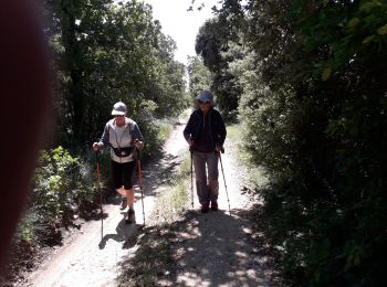 Randonnée Marche Réauville - reau 08 06 20 - Photo