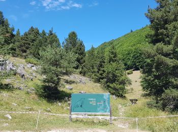 Tour Elektrofahrrad Châtillon-en-Diois - Vallon de Combeau - Photo