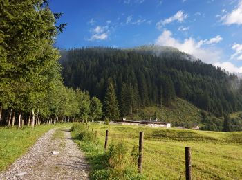 Tour Zu Fuß Gemeinde Tux - AT-24 - Photo