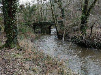 Excursión Senderismo Chéronnac - moulin du pont - Photo