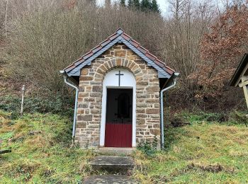 Randonnée A pied Kirchsahr - Sahrbacher Höhenweg - Photo