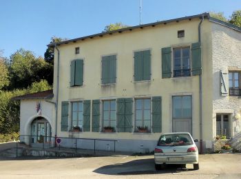 Tocht Te voet Vaudémont - Circuit Barrès - Brunehaut - Photo