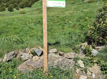 Tocht Stappen  - soldeu ransol reco 2024/06/03 - Photo