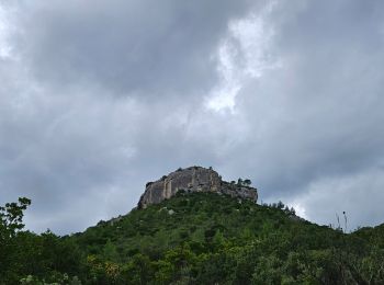 Tocht Stappen Le Castellet - Autour de la roche Redonne - Photo