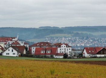 Randonnée A pied Grafenau - DE-SWV Gelbe Raute, Weil der Stadt Krappenberg - Döffingen Ulrichstein - Photo