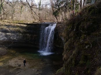 Randonnée Marche Bonlieu - Le Hérisson Bonlieu - Photo